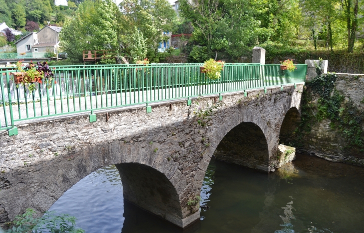 Pont Vieux - Vabre