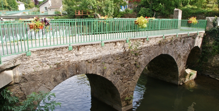 Pont Vieux - Vabre