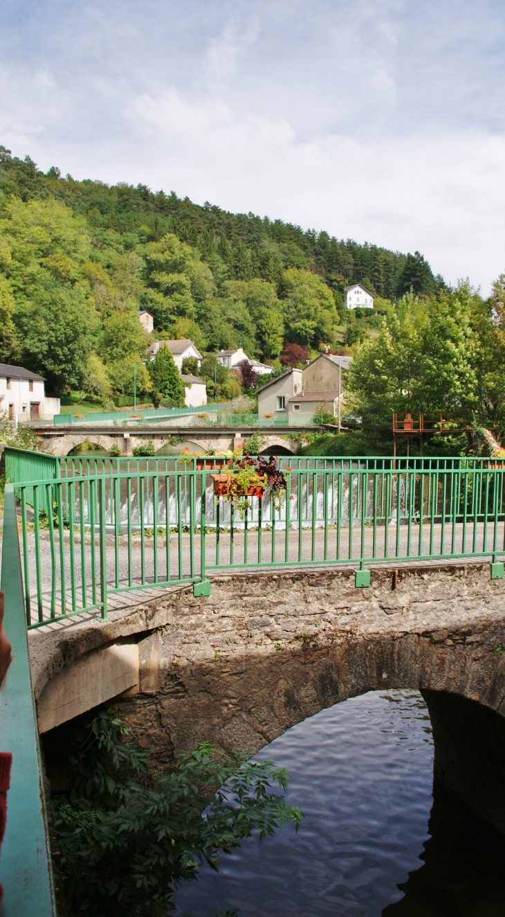 Pont Vieux - Vabre