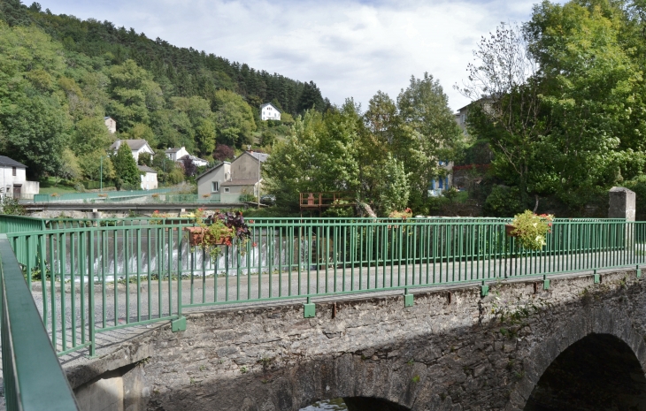 Pont Vieux - Vabre