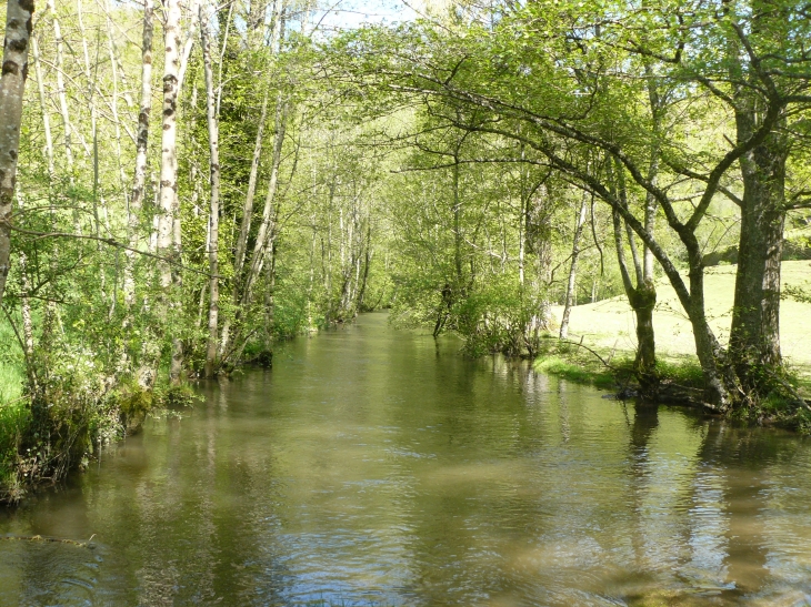 Au bord de l'eau - Vabre