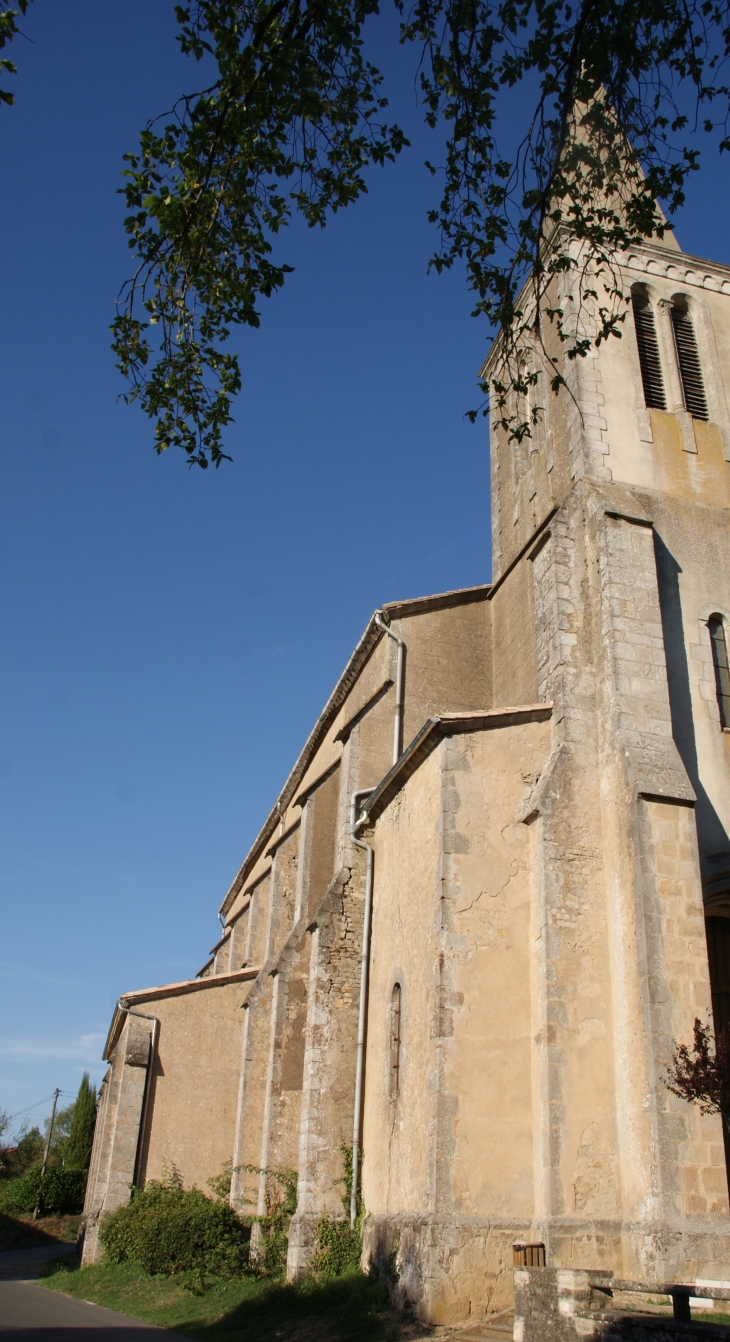 .Eglise Saint-Pantaléon - Vaour