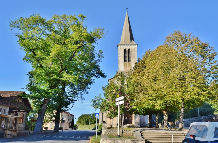 .Eglise Saint-Pantaléon - Vaour