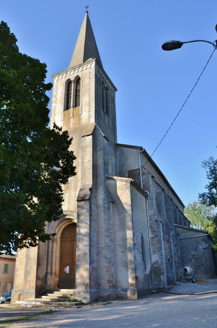 .Eglise Saint-Pantaléon - Vaour