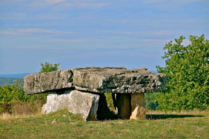 Le dolmen de Peyrelevade - Vaour