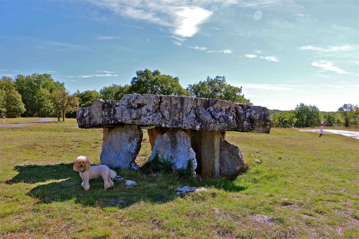 Le dolmen de Peyrelevade - Vaour