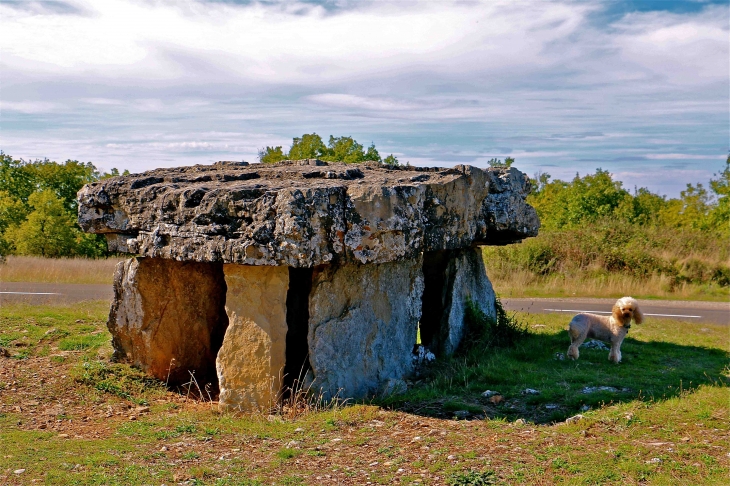 Le dolmen de Peyrelevade - Vaour