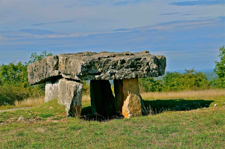 Le dolmen de Peyrelevade - Vaour