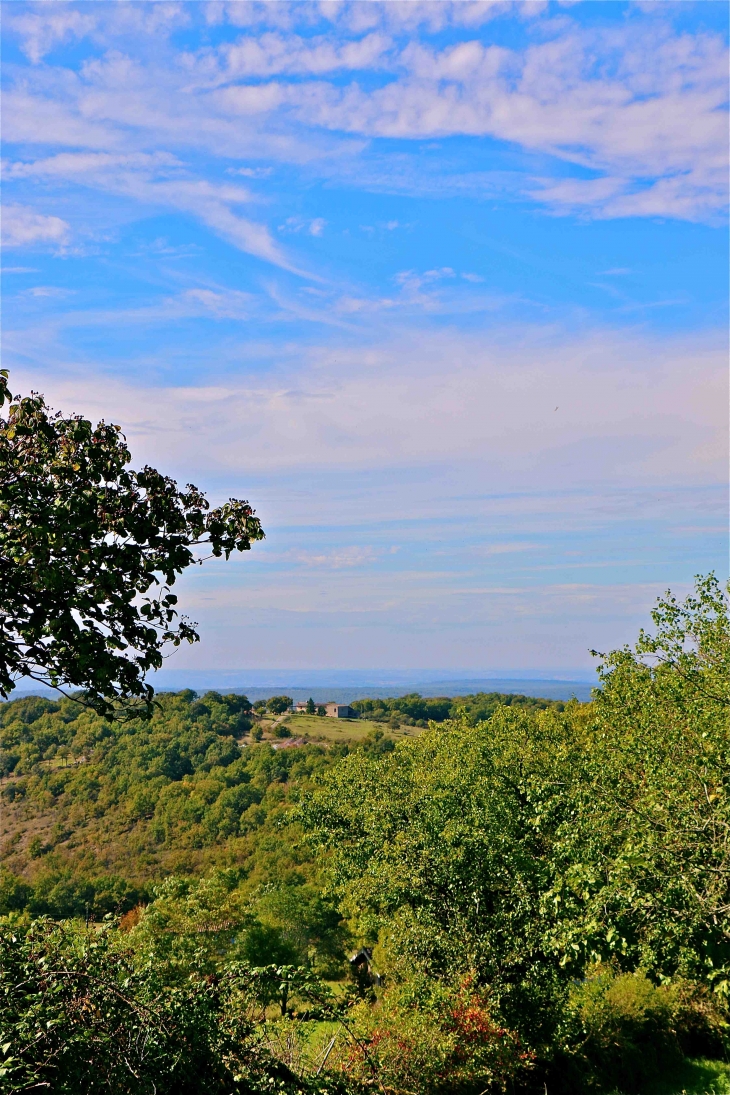 Aux alentours. - Vaour