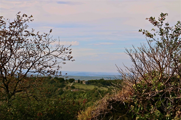 Aux alentours. - Vaour