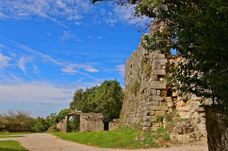 L'ancienne commanderie des Templiers - Vaour