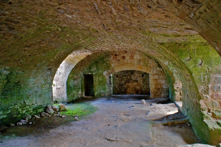 L'ancienne commanderie des Templiers - Vaour