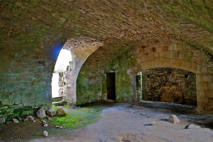 L'ancienne commanderie des Templiers - Vaour