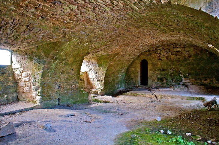 L'ancienne commanderie des Templiers - Vaour