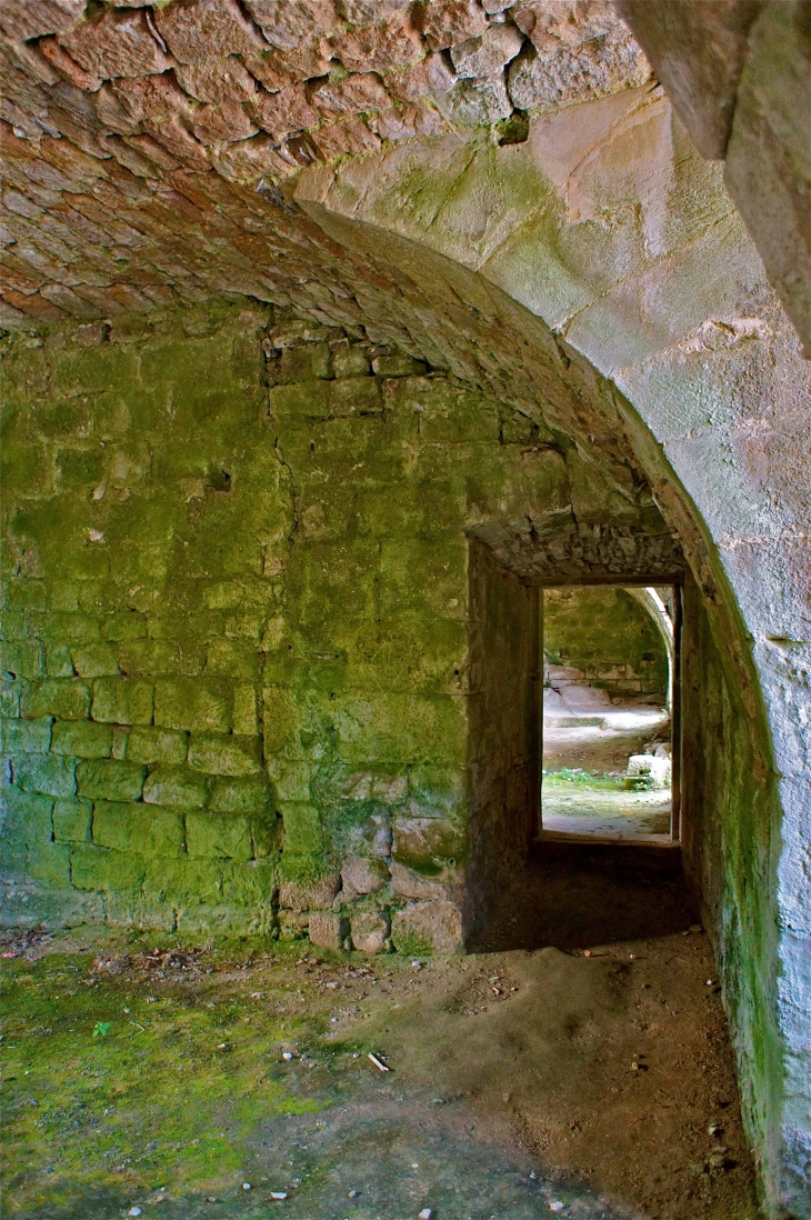 L'ancienne commanderie des Templiers - Vaour