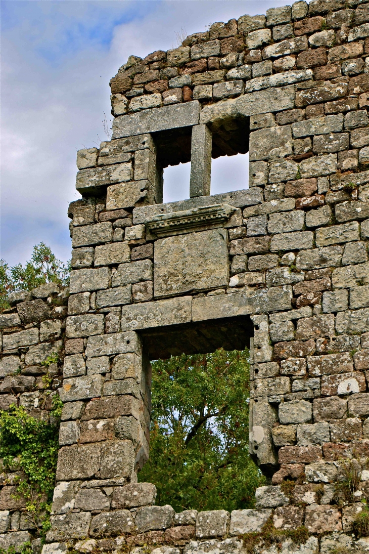 L'ancienne commanderie des Templiers - Vaour