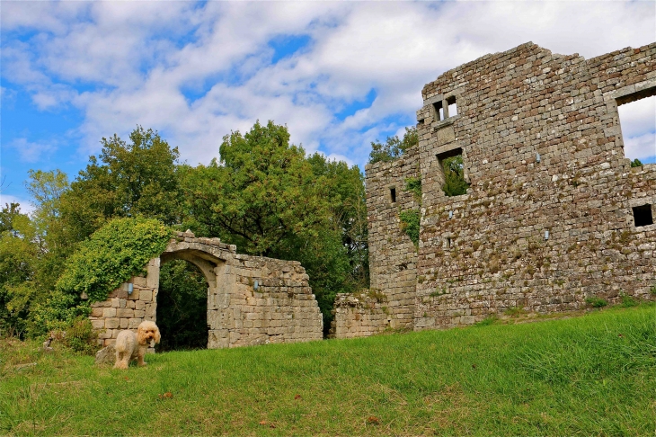 L'ancienne commanderie des Templiers - Vaour