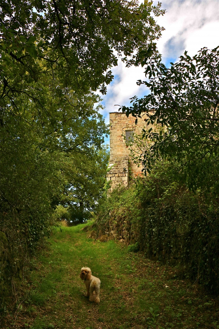 L'ancienne commanderie des Templiers - Vaour