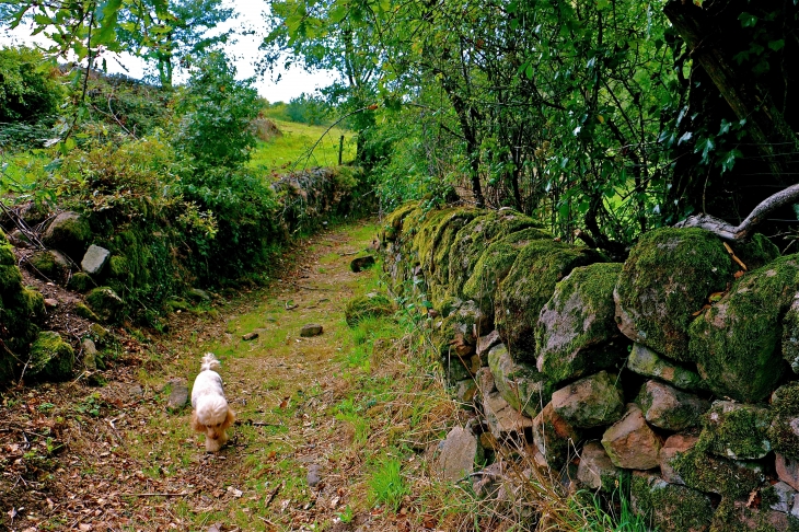 Pour monter à L'ancienne commanderie des Templiers - Vaour