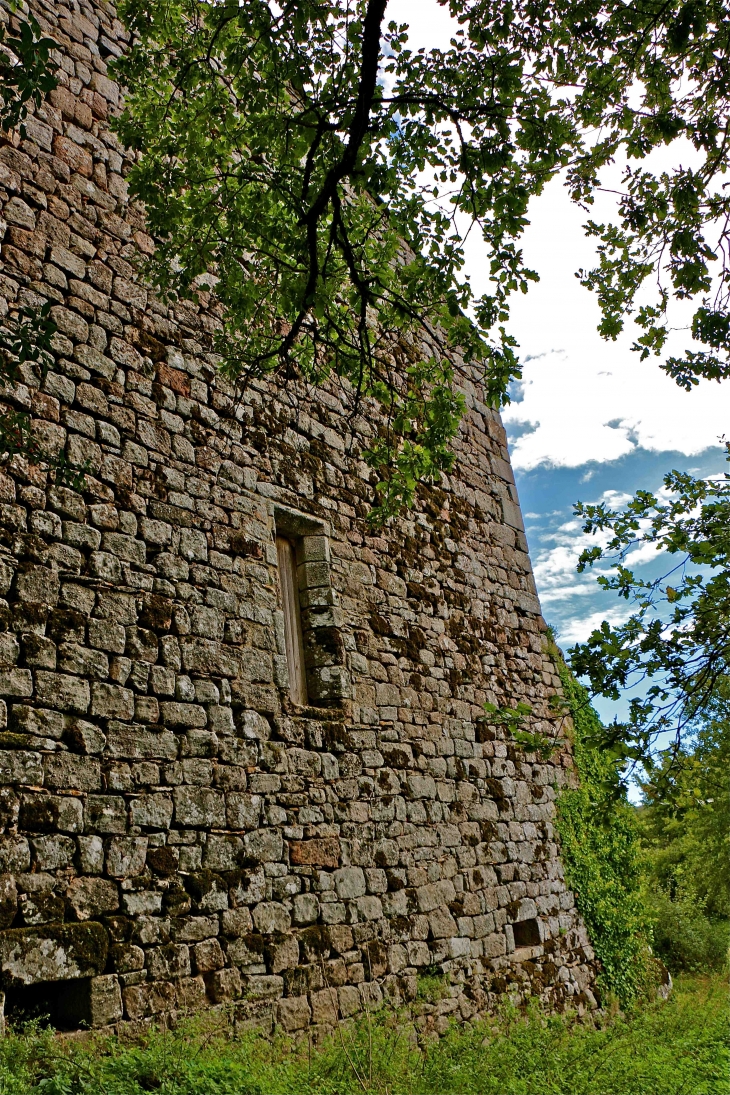 L'ancienne commanderie des Templiers - Vaour