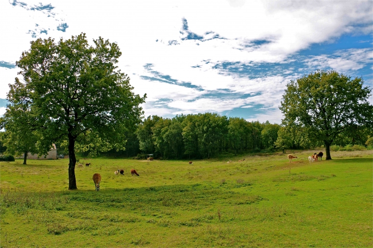 Aux alentours - Vaour