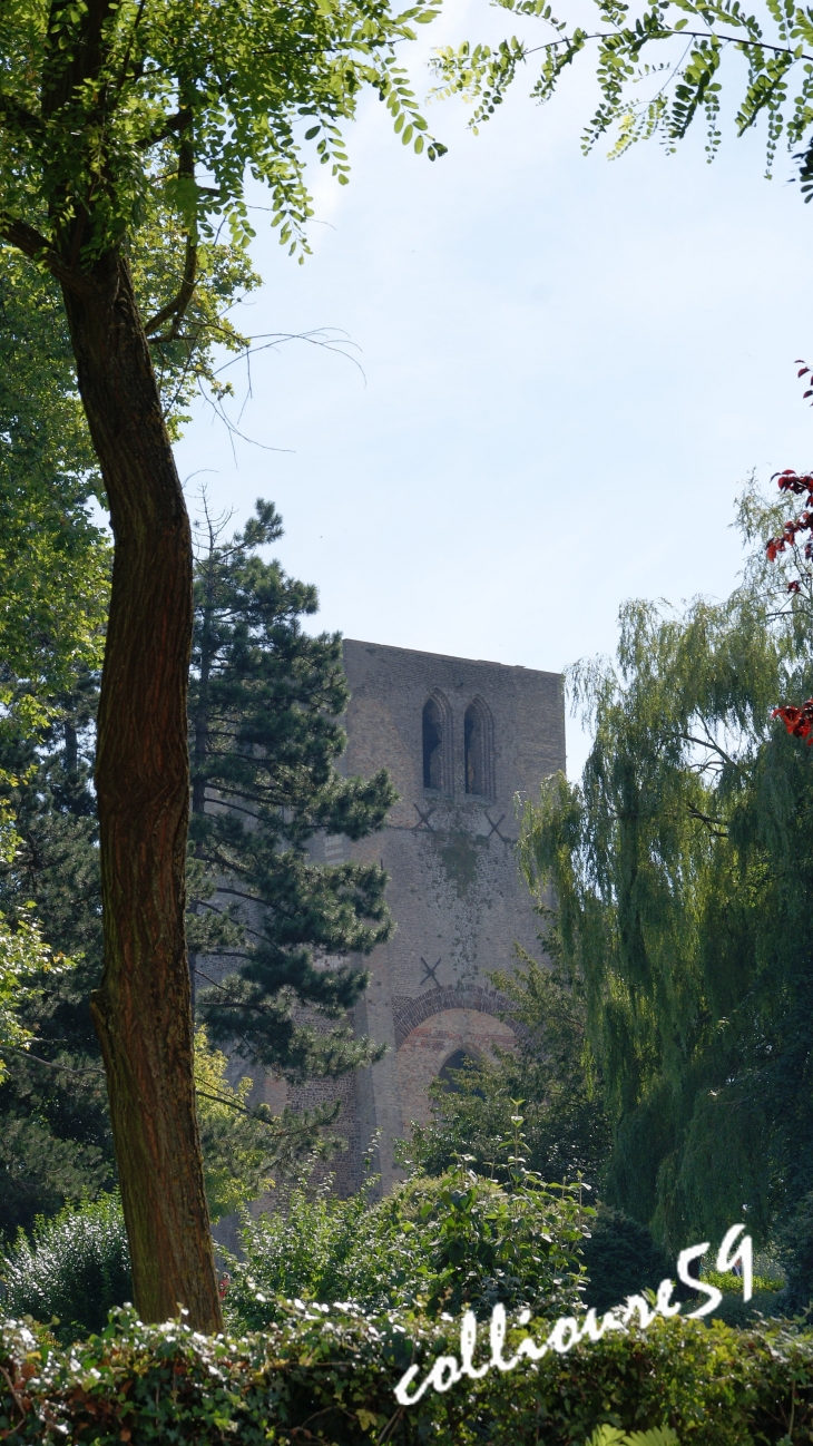 Une Tour de Bergues