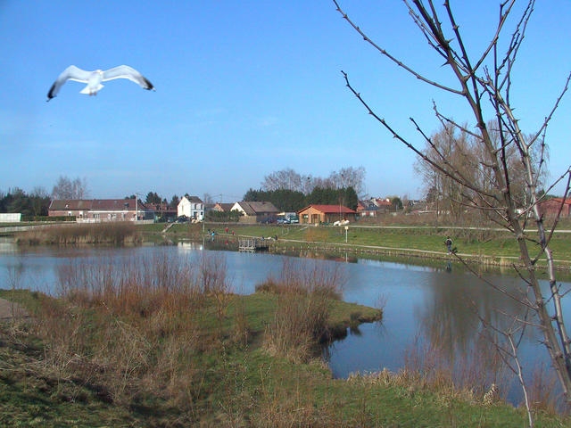 Etang de peche - Bruay-sur-l'Escaut