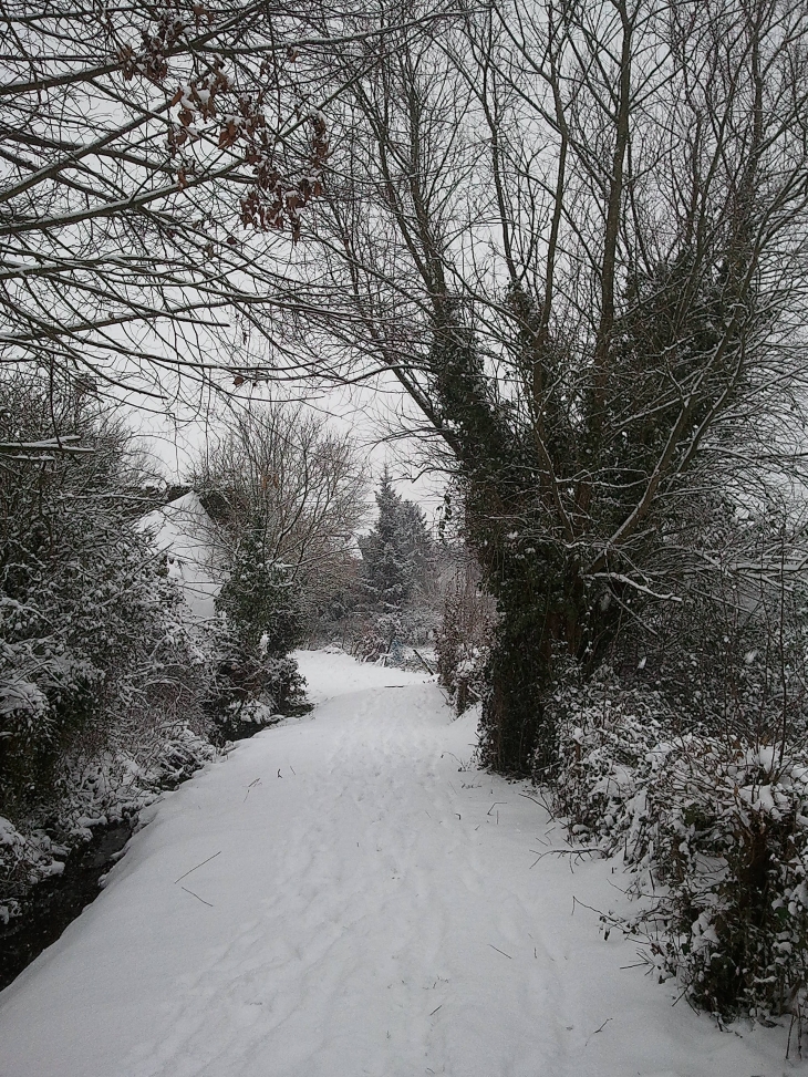 Ruelle de la mare - Cerfontaine