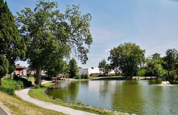 étang - Denain