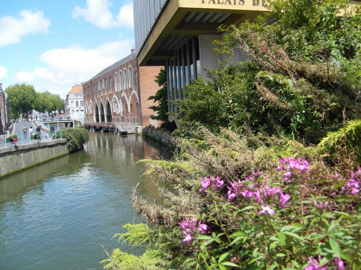 Pont - Douai