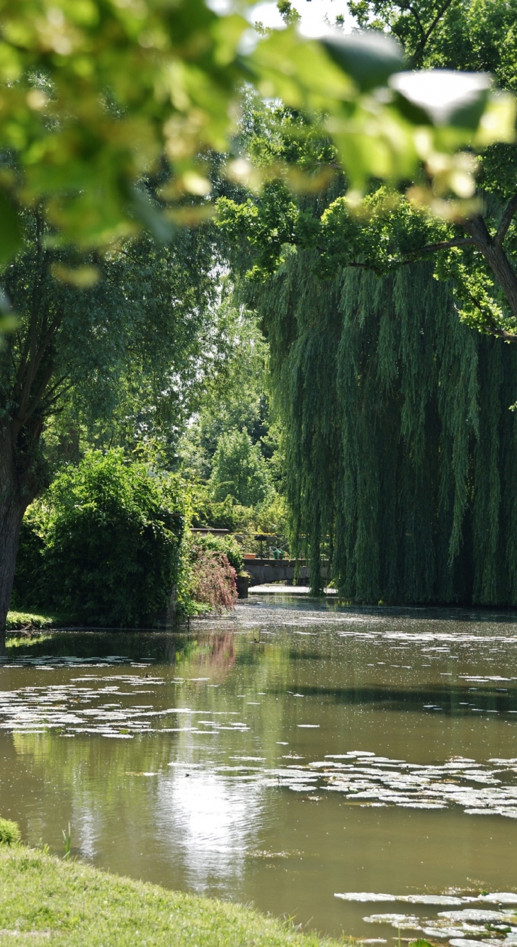 Parc Public - Gœulzin