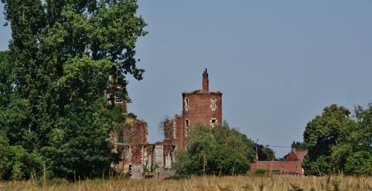 ²Château de Goeulzin - Gœulzin