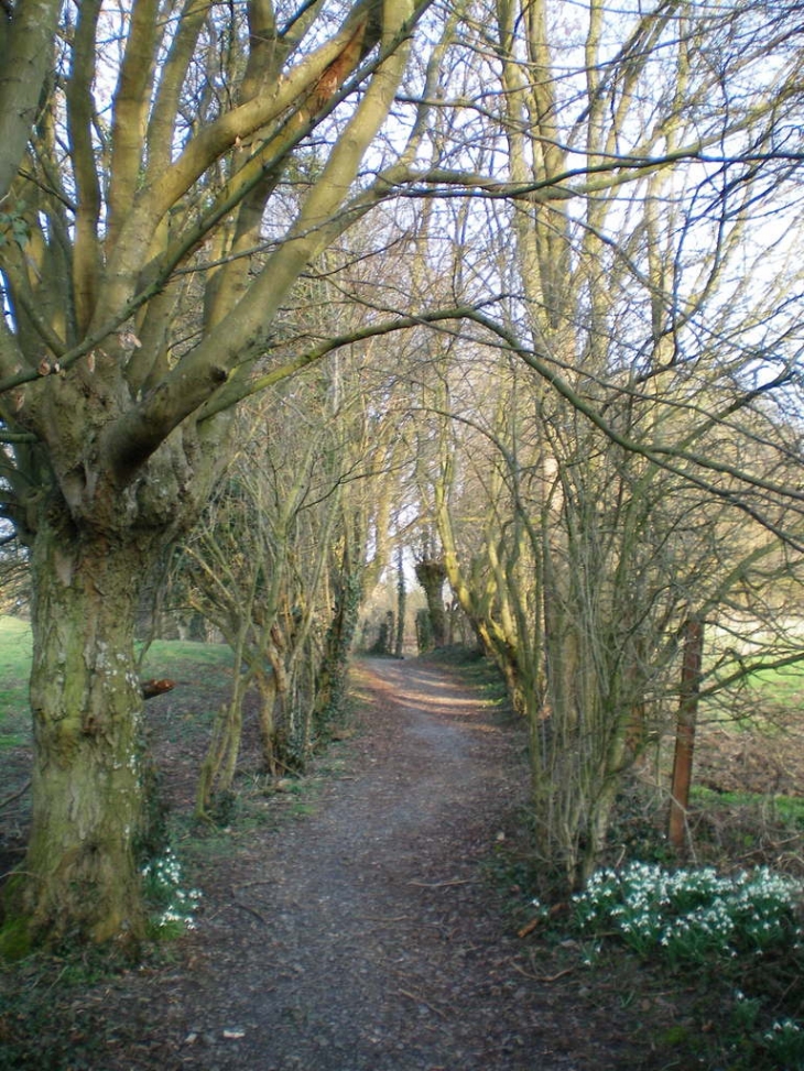 Sentier dans le village - Gussignies