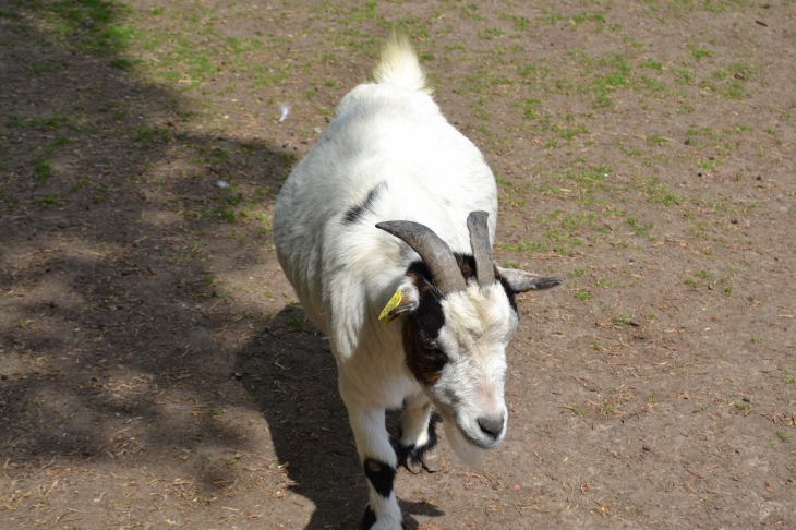 Parc Public - Hazebrouck