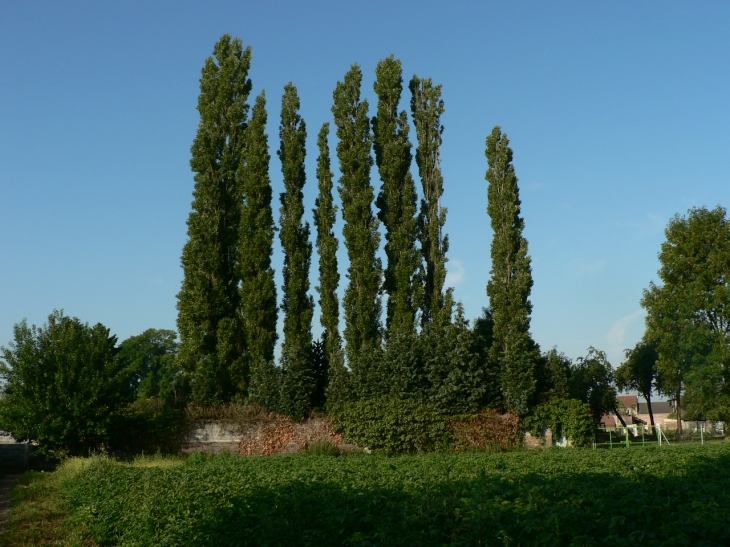 Promenade champestre - Hérin