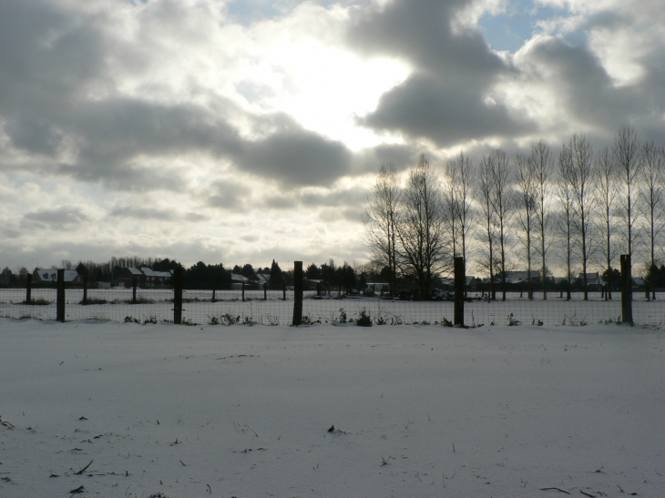 Promenade hivernal  - Hérin