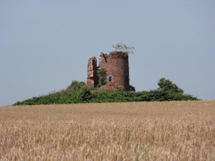 Houdain-lez-Bavay (59570) moulin à vent en ruine