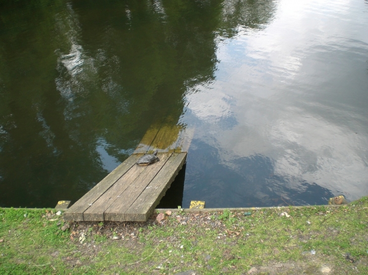 Parc de la cessoie - Lambersart