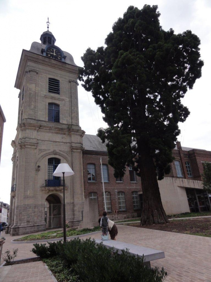 Le Quesnoy (59530) beffroi et sequoya géant