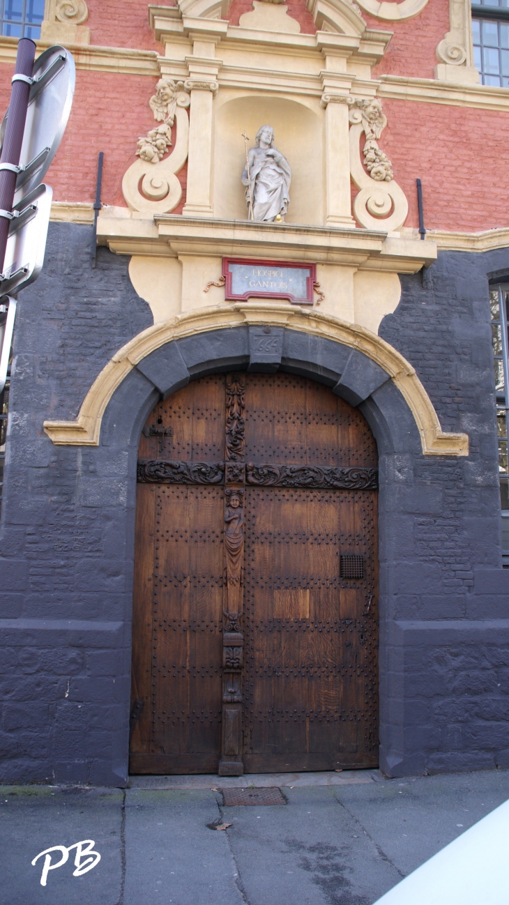 Porte de L'Hospice Gantois - Lille