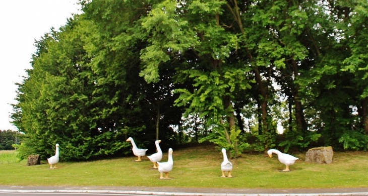 Rond-Point de la Ferme aux-Oies  - Marcq-en-Barœul