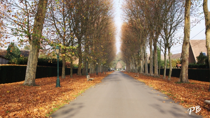 Le Parc Public - Marquette-lez-Lille