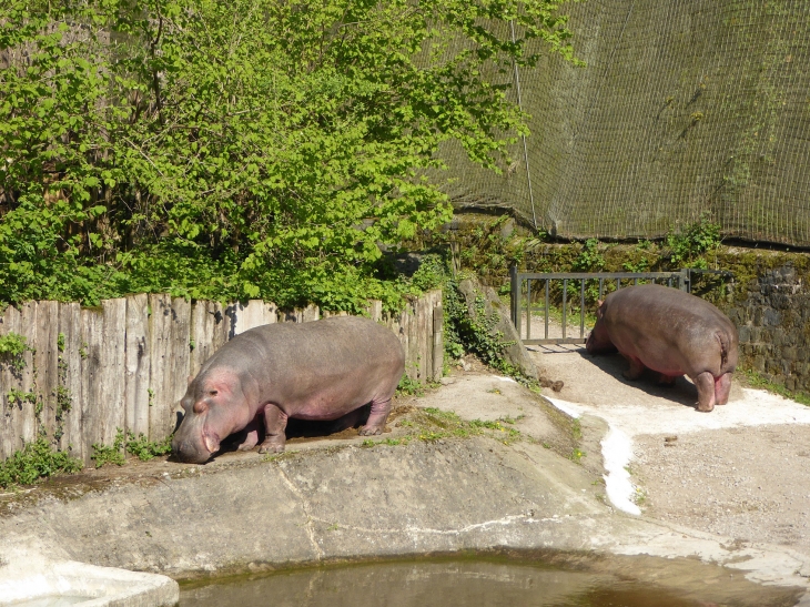 Le zoo dans la citadelle - Maubeuge