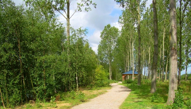 Etang de la Mousserie - Mérignies