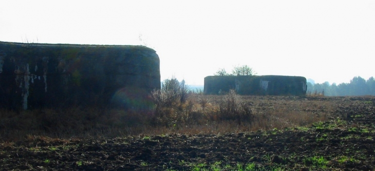 Les blockhaus - souvenirs de guerre - Mons-en-Pévèle