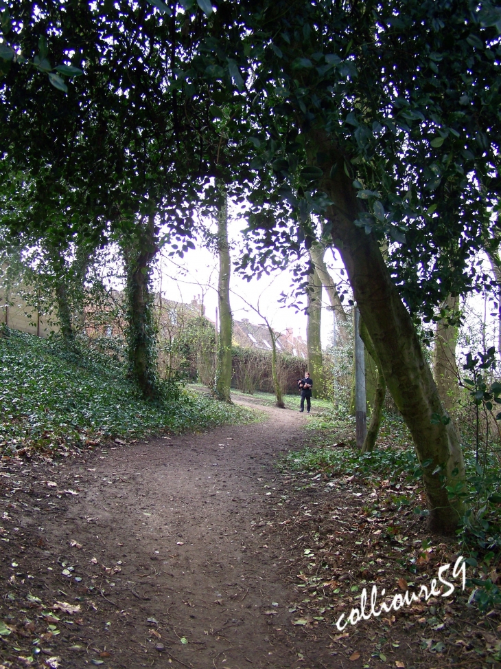 Le Parc du Hautmont - Mouvaux