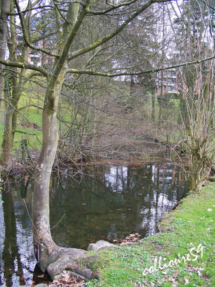 Le Parc du Hautmont - Mouvaux