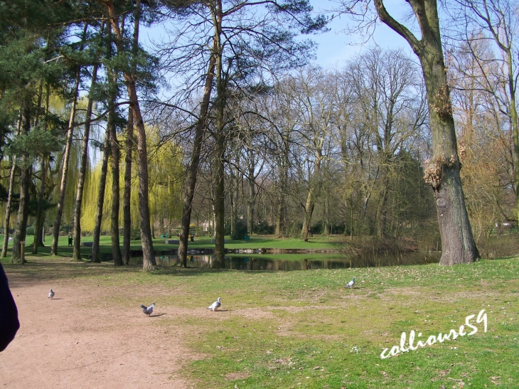 Le Parc du Hautmont - Mouvaux