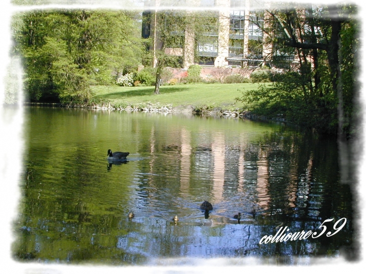 Le Parc du Hautmont - Mouvaux