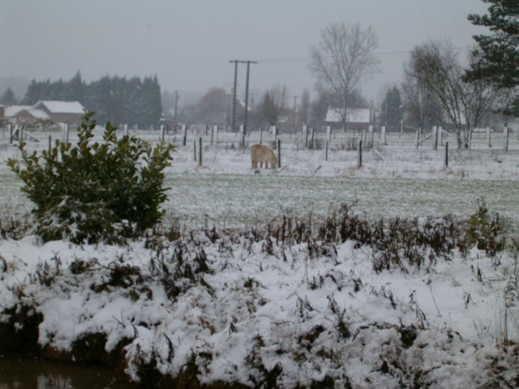 Nature de nivelle en hiver